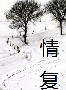 夏日网上购物